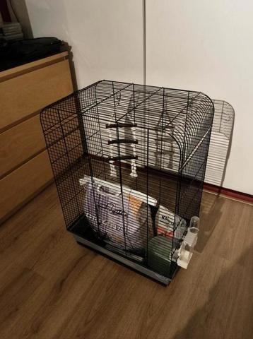 Vogelkooi met alle toebehoren om te starten beschikbaar voor biedingen