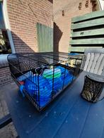Z.g.a.nHamsterkooi met toebehoren eventueel muizen, Ophalen of Verzenden, Zo goed als nieuw