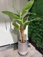 Bloempotten erik kuster stijl, Nieuw, Minder dan 25 cm, Overige vormen, Aardewerk