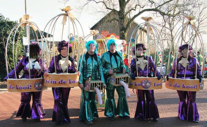 Leuke fleurige loopgroep, #halfvasten, #loopgroep, Kleding | Dames, Carnavalskleding en Feestkleding, Zo goed als nieuw, Kleding
