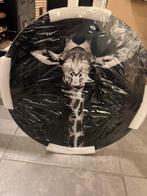 Plexiglas, Antiek en Kunst, Ophalen of Verzenden