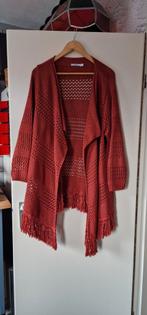 Vesten 2x en 1 lange blouse allen maat 54., Kleding | Dames, Grote Maten, Ophalen, Gedragen, Trui of Vest