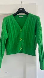 Vest Amo&Roma 38, Maat 38/40 (M), Verzenden, Zo goed als nieuw, Amo & Roma