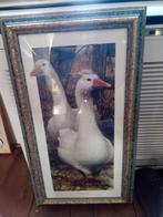 Schilderij met twee zwanen. 60 x 34cm, Ophalen