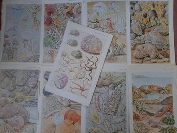 papierpakket 'strand"  voor o.a. #junkjournal    beschikbaar voor biedingen