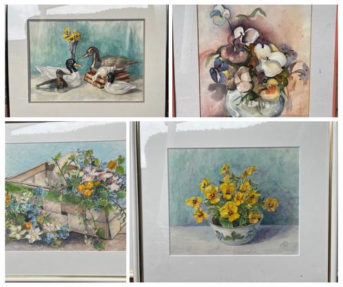 Unieke Aquarel Schilderijen Collectie te Koop aangeboden, Antiek en Kunst, Kunst | Overige Kunst, Ophalen