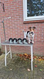 Trimtafel op wielen met verstelbare arm. Afmeting 91x61x76, Ophalen, Gebruikt