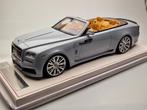 1:18 Rolls Royce Novitec Spofec Dawn Overdose - Grijs/Zilver, Overige merken, Auto, ., Nieuw