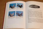 Kippen in Nederland [1997] — Ras & Verzorging, Ophalen of Verzenden, Gelezen, Vogels