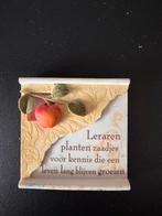 Leuke Koelkast Magneet - Leraar Cadeau, Ophalen of Verzenden, Gebruikt