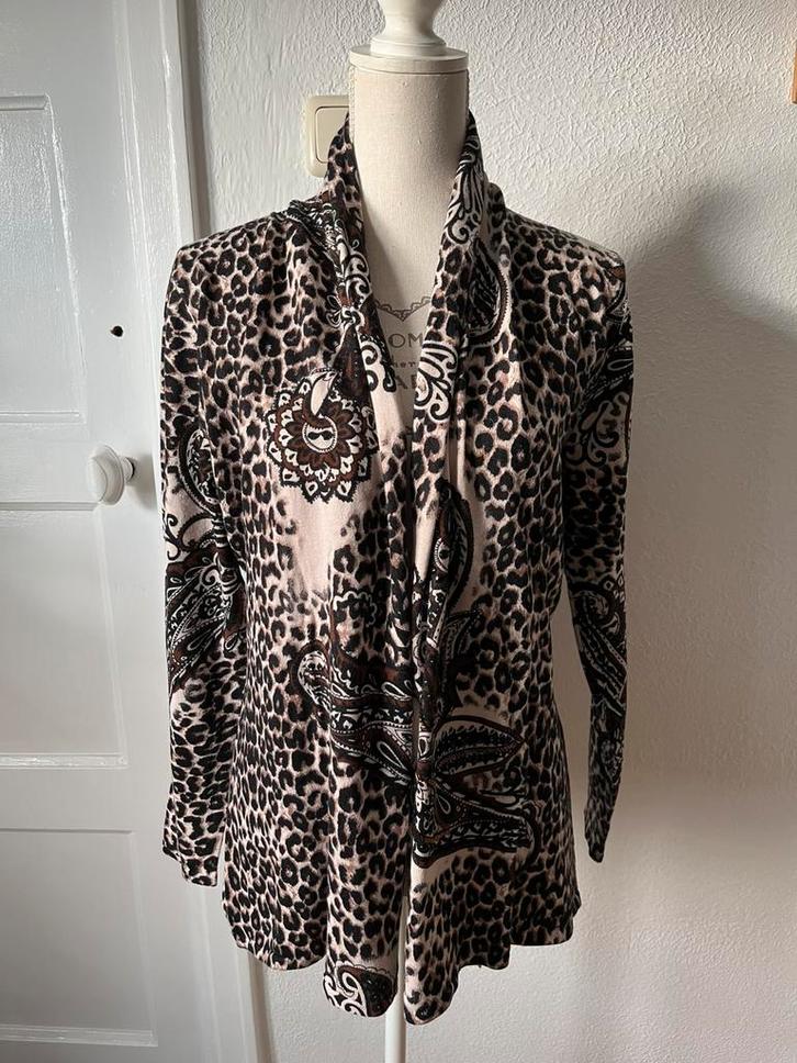 Leo Guy, leuk vest, maat M, Kleding | Dames, Truien en Vesten, Zo goed als nieuw, Maat 38/40 (M), Overige kleuren, Ophalen of Verzenden