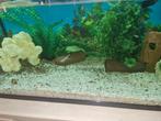 Aquarium set, Dieren en Toebehoren, Vissen | Aquaria en Toebehoren, Ophalen, Nieuw, Leeg aquarium