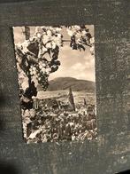 Freiburg Duitsland, Verzamelen, Ansichtkaarten | Buitenland, Verzenden, 1940 tot 1960, Duitsland