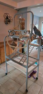 Speeltoestel voor Papagaai of andere vogels, Ophalen, Zo goed als nieuw, Metaal, Vogelkooi