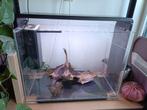 Superfish Home 85 Aquarium, Dieren en Toebehoren, Vissen | Aquaria en Toebehoren, Ophalen, Gebruikt, Leeg aquarium