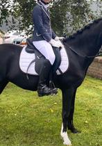 Equiline wedstrijdjasje kind, Dieren en Toebehoren, Ophalen of Verzenden