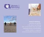 Paardencoaching omgeving Eindhoven/Oirschot, Spirituele coaching