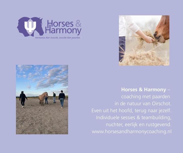 Paardencoaching omgeving Eindhoven/Oirschot, Diensten en Vakmensen, Coaching en Persoonlijke effectiviteit, Persoonlijke ontwikkeling