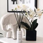 Luxe Geurstokjes - Parfumgeuren Actie!, Ophalen of Verzenden, Nieuw