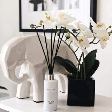 Luxe Geurstokjes - Parfumgeuren Actie! beschikbaar voor biedingen