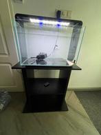 Superfish home 65, Ophalen, Gebruikt, Leeg aquarium