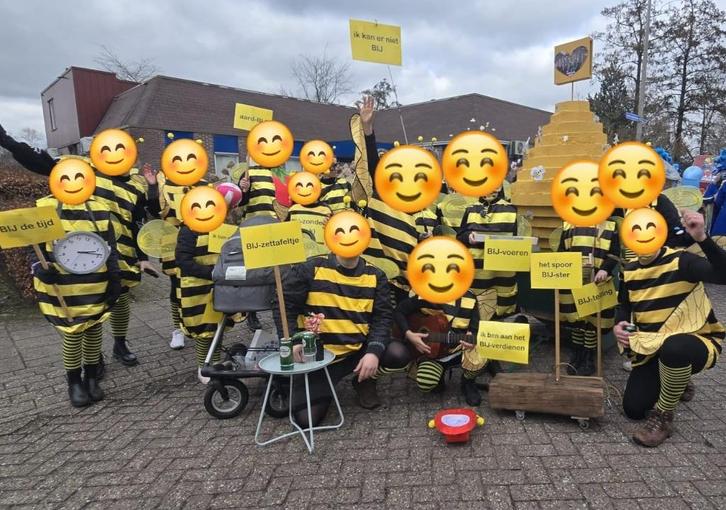 Loopgroep carnaval 'Bij-eenkomst', Kleding | Dames, Carnavalskleding en Feestkleding, Zo goed als nieuw, Kleding, Carnaval, Ophalen of Verzenden