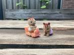 Sylvanian Families Eekhoorn Set, Ophalen of Verzenden, Gebruikt, Jongen of Meisje