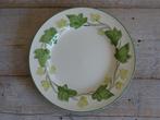 Plat Bord, Engels, FRANCISCAN IVY, als nieuw, Ophalen of Verzenden