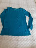 prachtig blauw shirt LIV maat M, Kleding | Dames, T-shirts, Blauw, Lange mouw, Zo goed als nieuw, LIV
