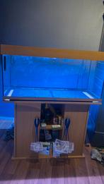 Juwel rio 180 hout kleur, Ophalen, Zo goed als nieuw, Plant(en), Steen of Hout