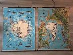Noord- en zuidpoolgebied (twee schoolplaten), Antiek en Kunst, Antiek | Schoolplaten, Ophalen of Verzenden, Natuur en Biologie