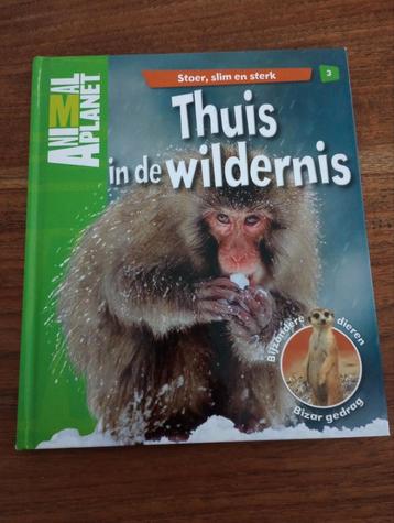 Thuis in de wildernis, Stoer, Slim en sterk animal planet beschikbaar voor biedingen
