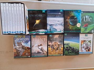 Bbc Earth films beschikbaar voor biedingen