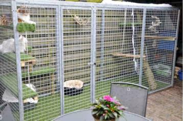 Kattenren gegalvaniseerd B=120 x D=180 x H= 180 cm beschikbaar voor biedingen
