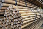 50 bamboestokken 270cm, Ophalen, Nieuw, 250 cm of meer, Overige typen