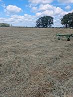 Kleine balen mooi hooi kleinepakjes, Dieren en Toebehoren, Ophalen of Verzenden, Vee