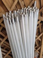 50 Led lampen., Ophalen, Gebruikt, Minder dan 50 watt, Lamp