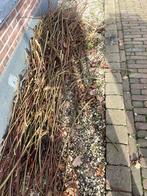 Gratis Takken Leilinde & Dakplataan, Ophalen