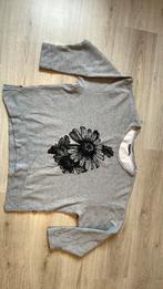 Didi trui xxl, Ophalen of Verzenden, Zo goed als nieuw, Maat 46/48 (XL) of groter, Blauw