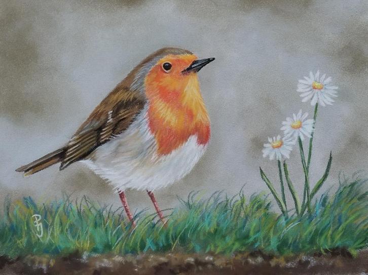 OPRUIMING roodborstje bloemen- origineel cadeau - eigen werk, Antiek en Kunst, Kunst | Schilderijen | Klassiek, Ophalen of Verzenden