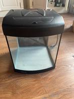 Aquarium aqua 40, Ophalen, Leeg aquarium