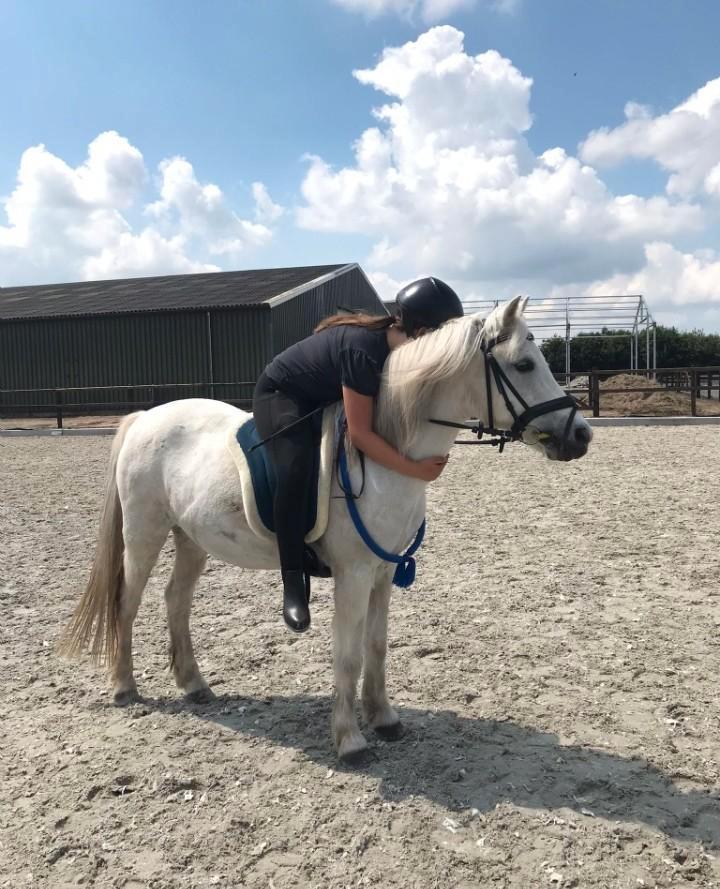 Verzorger aangeboden/ verzorg paard gezocht, Dieren en Toebehoren, Paarden en Pony's | Verzorgingsproducten, Ophalen of Verzenden