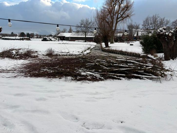 Gratis wilgentakken, veel., Tuin en Terras, Overige Tuin en Terras, Ophalen