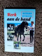 Werk aan de hand, R. Hinrichs, Gelezen, Ophalen of Verzenden, R. Hinrichs, Paarden of Pony's
