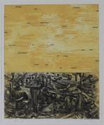 Gijs van Noort (1958) Ets " De verdronken stad " Ges Gen Ged, Ophalen of Verzenden