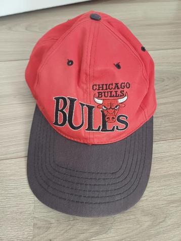 Pet Chicago Bulls, one size beschikbaar voor biedingen