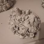Decoratieve Koraal Ornament, Ophalen of Verzenden, Zo goed als nieuw