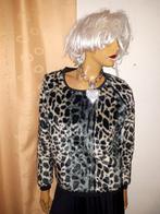 Prachtige trui van maison Scotch maat 1/36, Overige kleuren, Zo goed als nieuw, Maat 36 (S), Maison Scotch