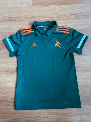 MHCZ Zoetermeer vrijwel nieuwe hockeypolo mt 152  11-12 jaar beschikbaar voor biedingen