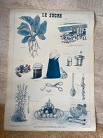 Vintage illustration wall poster. French design. “Le Sucre”, Huis en Inrichting, Ophalen of Verzenden